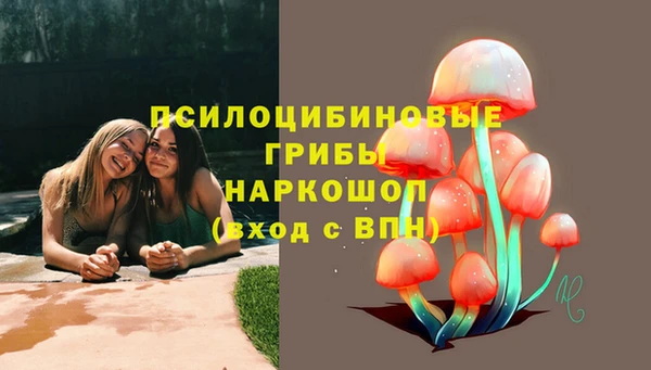 ECSTASY Белокуриха