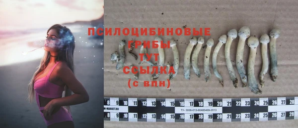ECSTASY Белокуриха