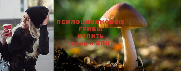 jwh Богородицк