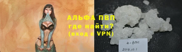 ECSTASY Богданович