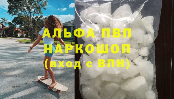 ECSTASY Белокуриха