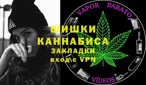 ECSTASY Богданович