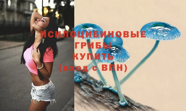 прущий лед Богородск