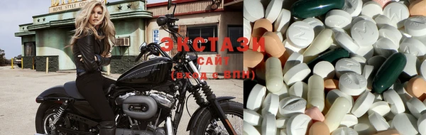 ECSTASY Белокуриха