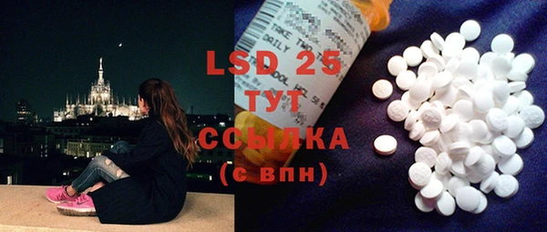 ECSTASY Белокуриха